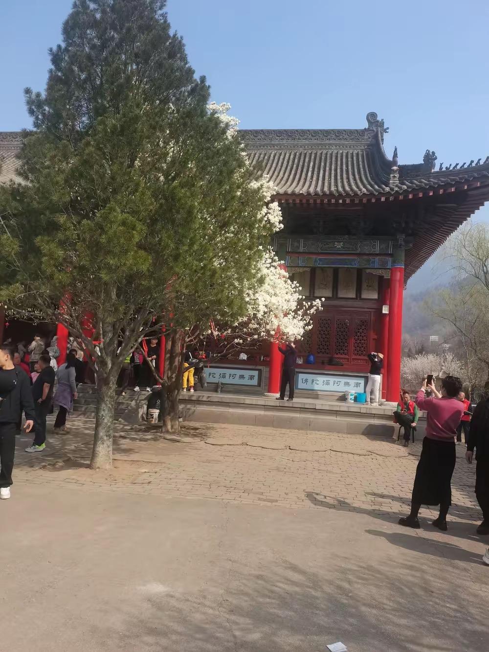 我村有一个男的，有两个儿子，生第二个儿子的时候，他在外地，回来时，儿子已经半岁了