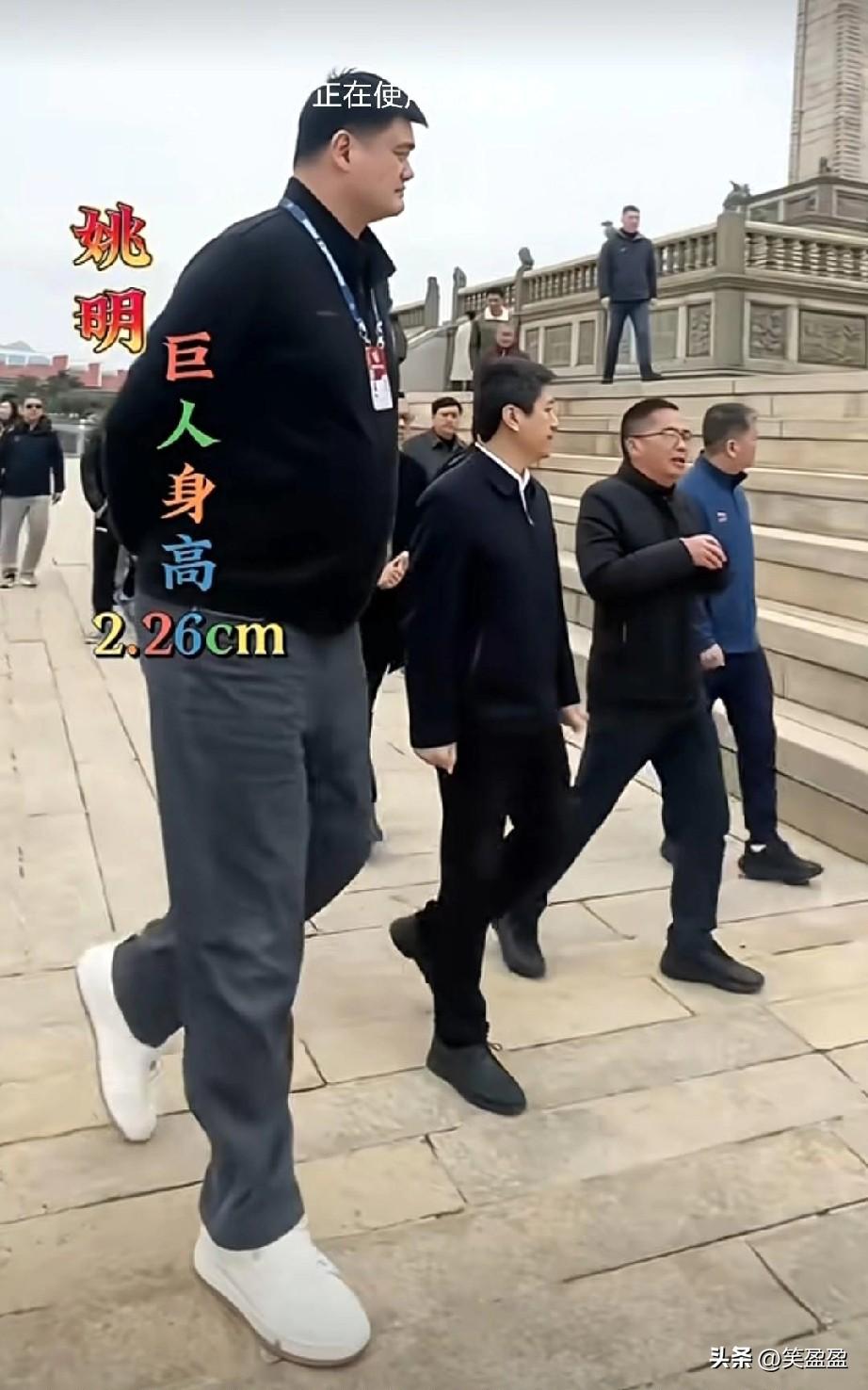 居然还有
比姚明还高的巨人

有史以来，
身高超2米以上的十三位巨人，
有的都比