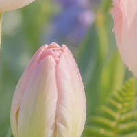 生活手记💖温柔以待，日子有回甘🌿慢煮时光，美好不缺席🌟心藏星光，步步皆晴朗