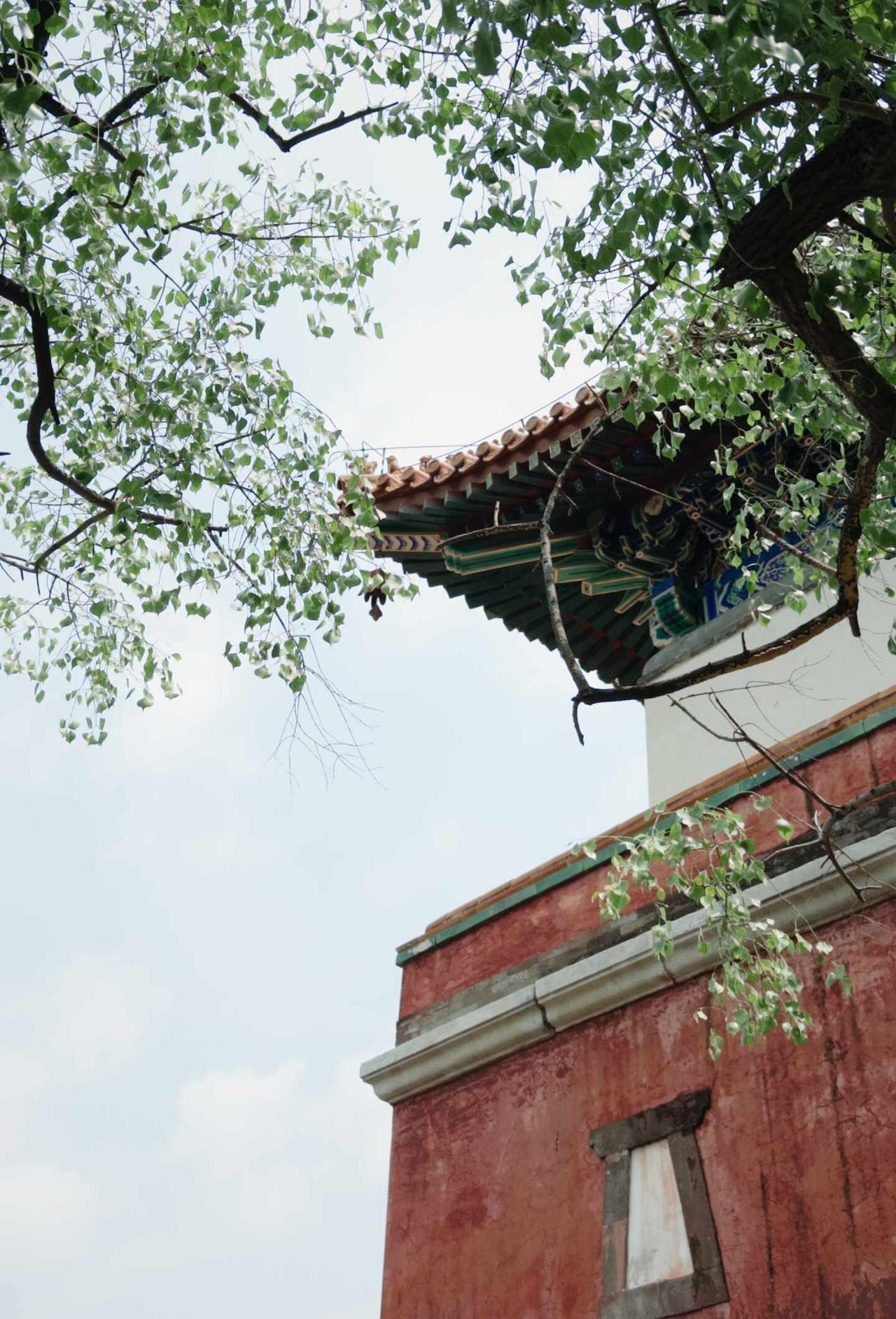 北京甚是炎热
鼻子已出血[发怒]
北京遛娃 天气不似预期 风吹屁屁凉啊