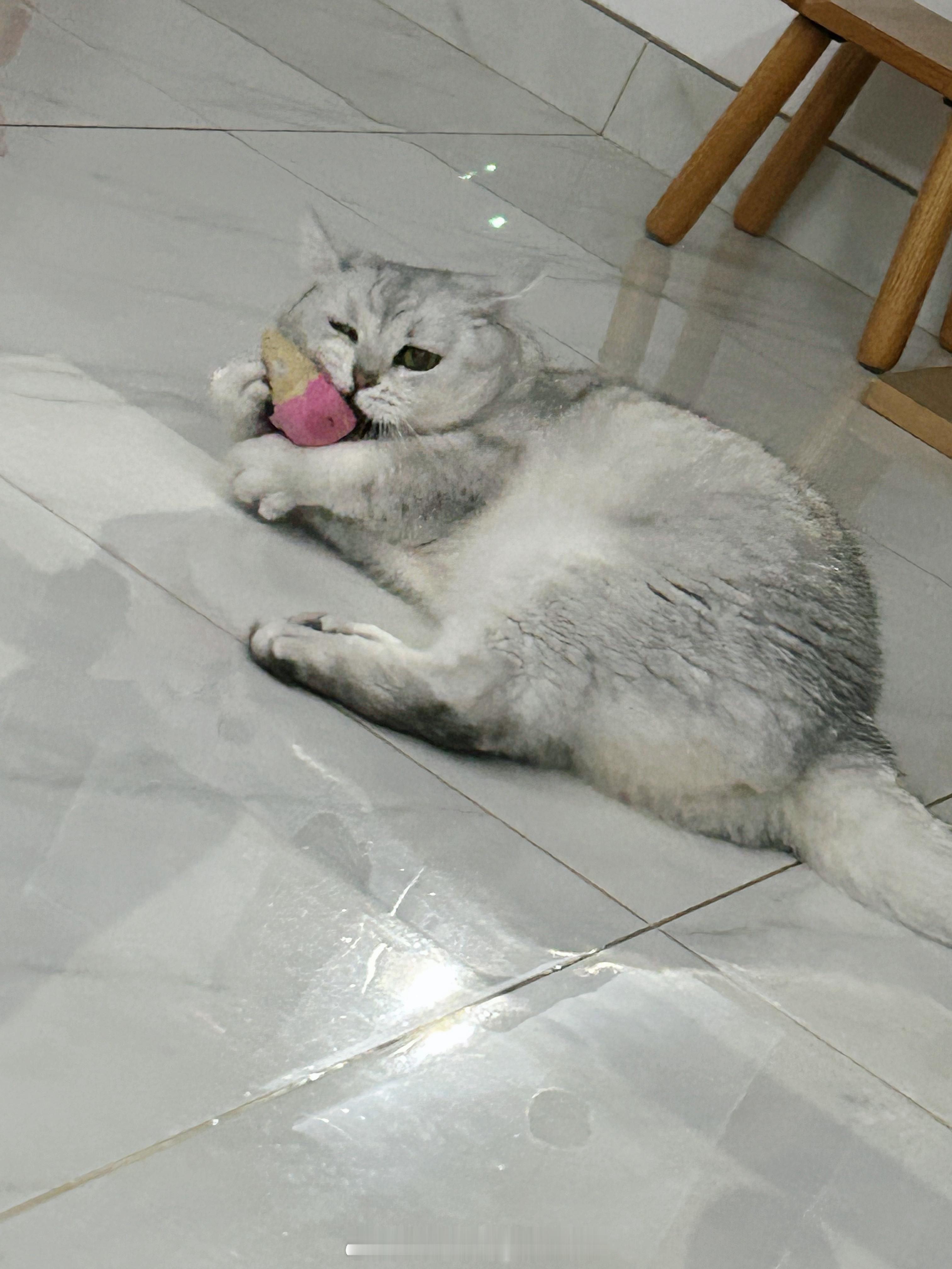 陈年老玩具还是很喜欢🍦年糕才不要小鱼干[超话] ​​​