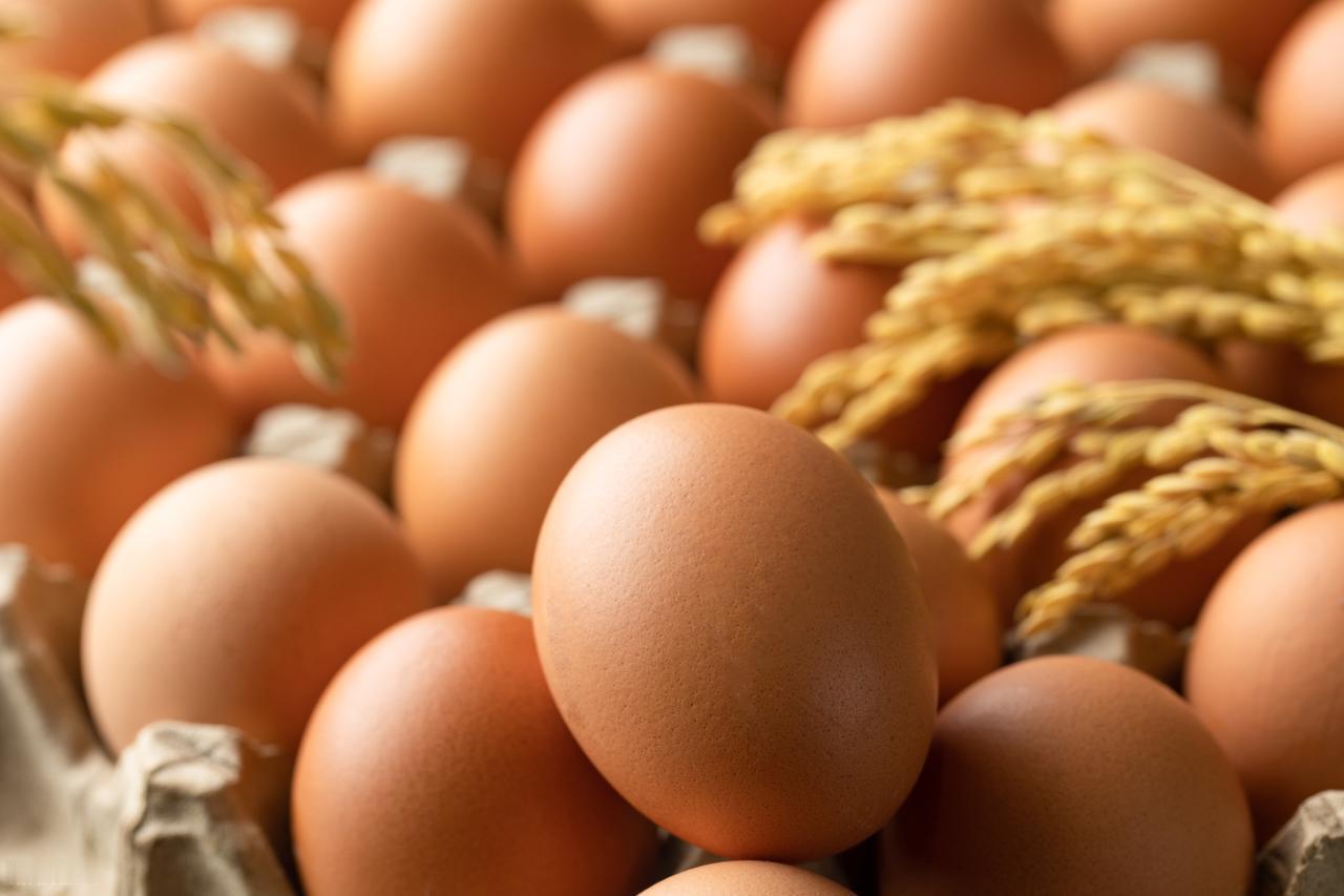 肺癌患者可以吃鸡蛋吗？鸡蛋是优质蛋白质的重要来源，对肺癌患者来说，补充优质蛋白有