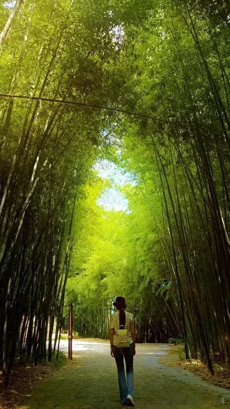 不要讲什么汉族人特别特别善良，其实汉族人很记仇的。北宋经历了靖康之耻，一百多年以
