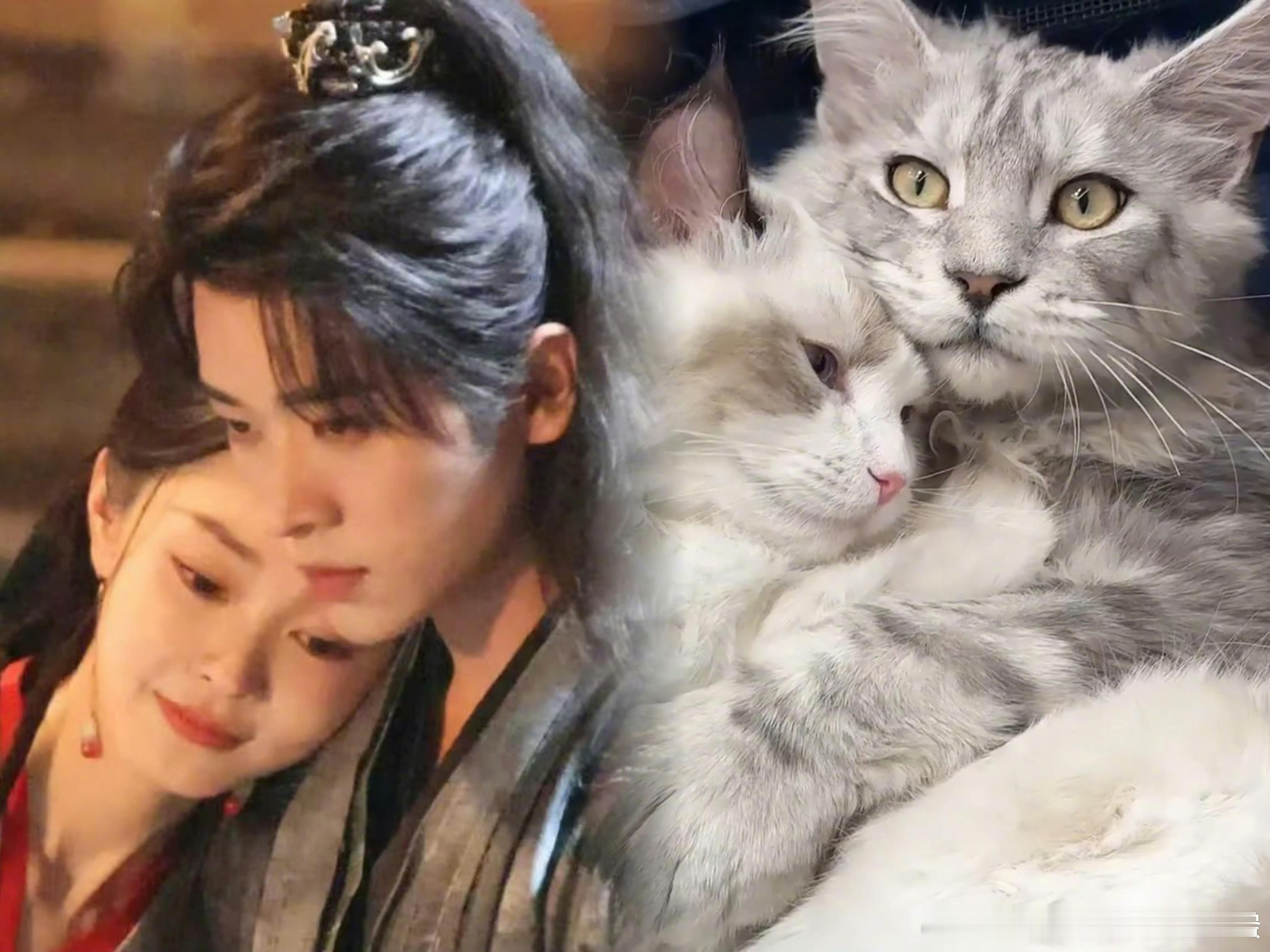 四个壮汉拆不开宋轶丞磊拥抱这两个人也太好磕了吧，游戏两人拥抱难分，互动甜度高，丞