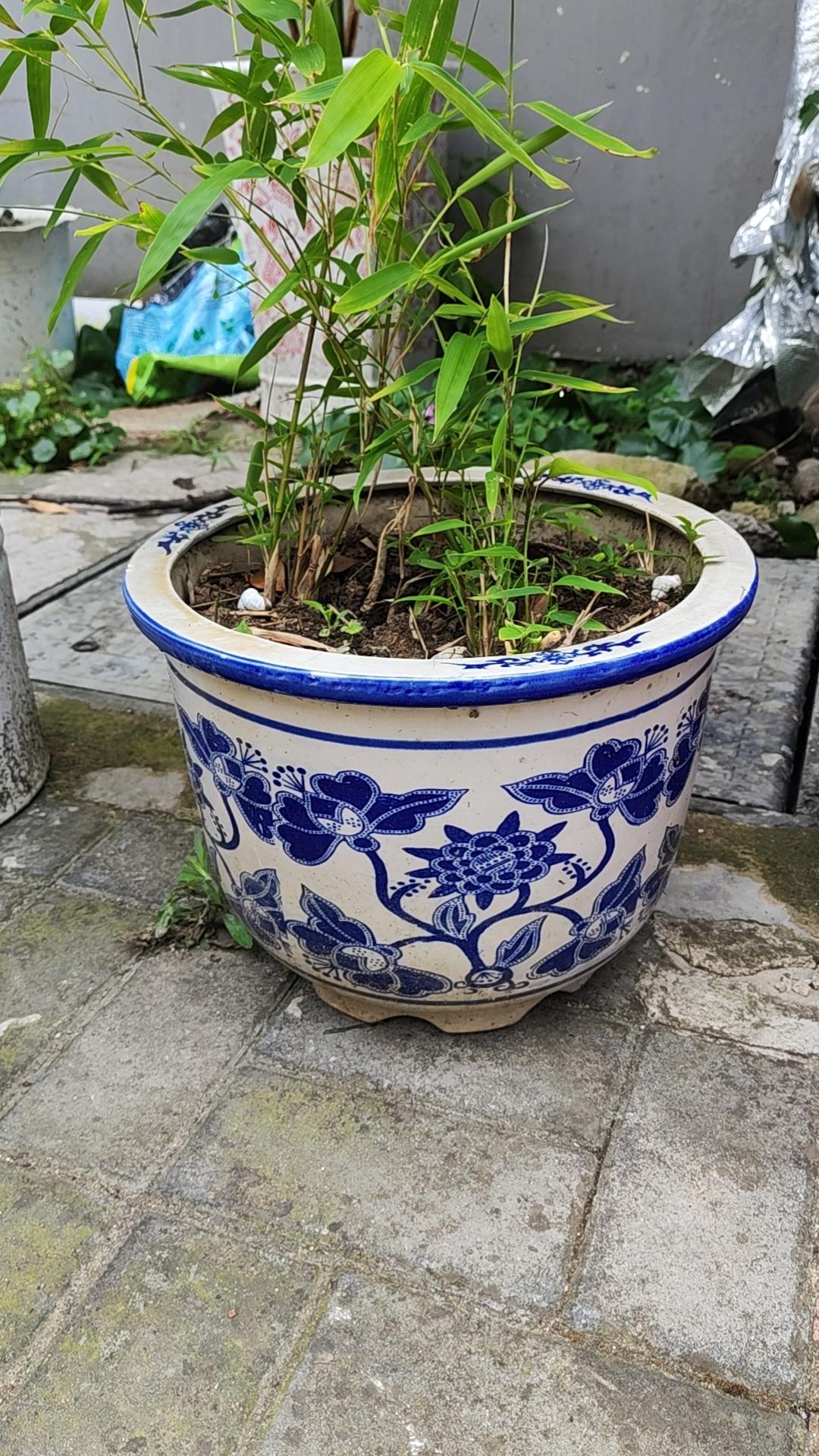 看住看住，最后还是让人搬走一只，你们说说，现在还有这么低素质的人。最让人气愤的是
