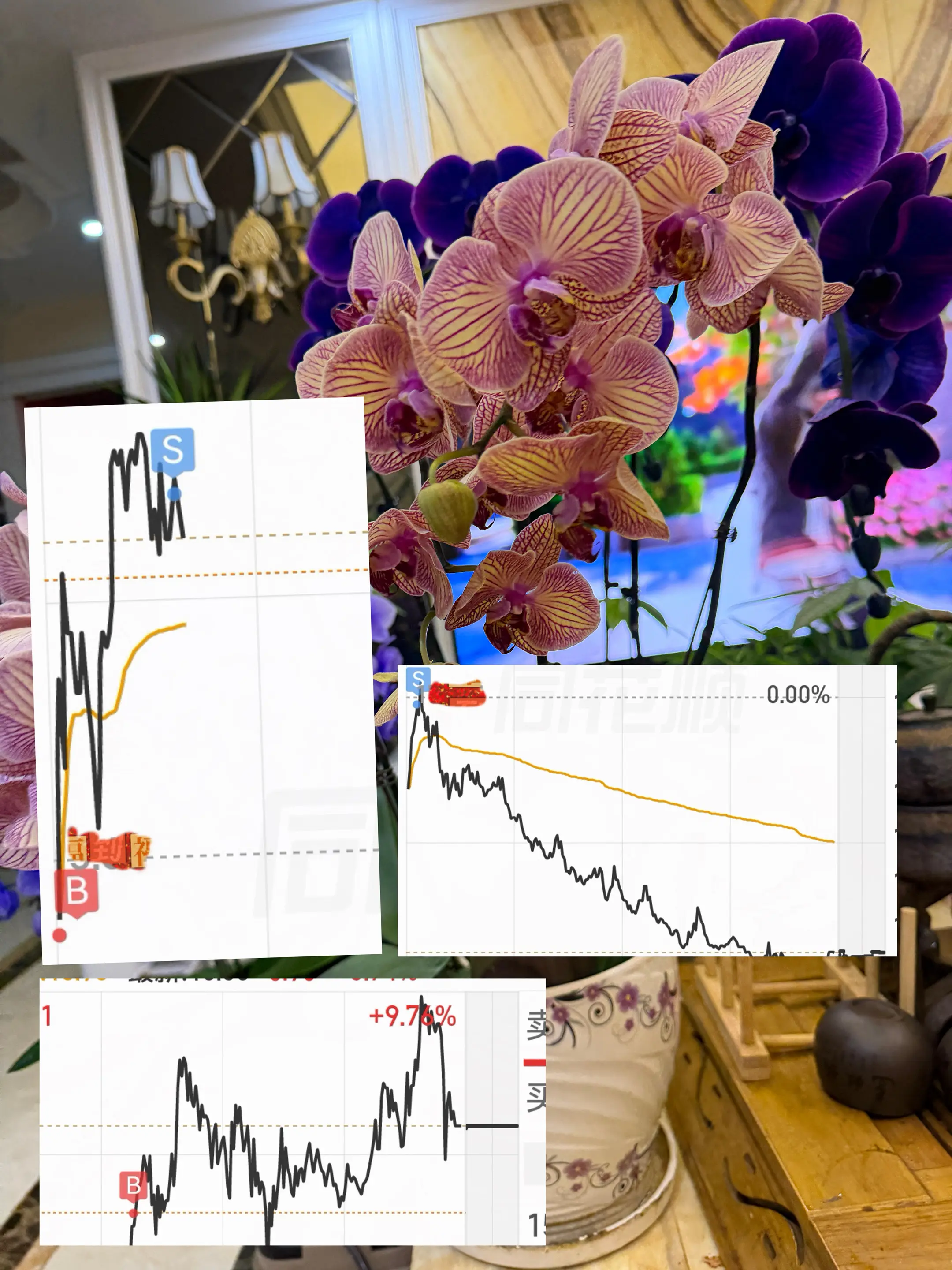 卖的真漂亮哈哈 今天买的下午大涨 昨天重仓的早上五个点全仓卖出锁定盈利...