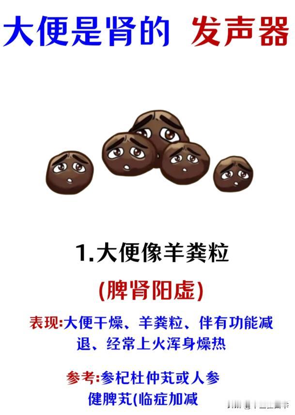 你的肾好不好，看看大便就知道！#人人关注肾健康##中医##养生#