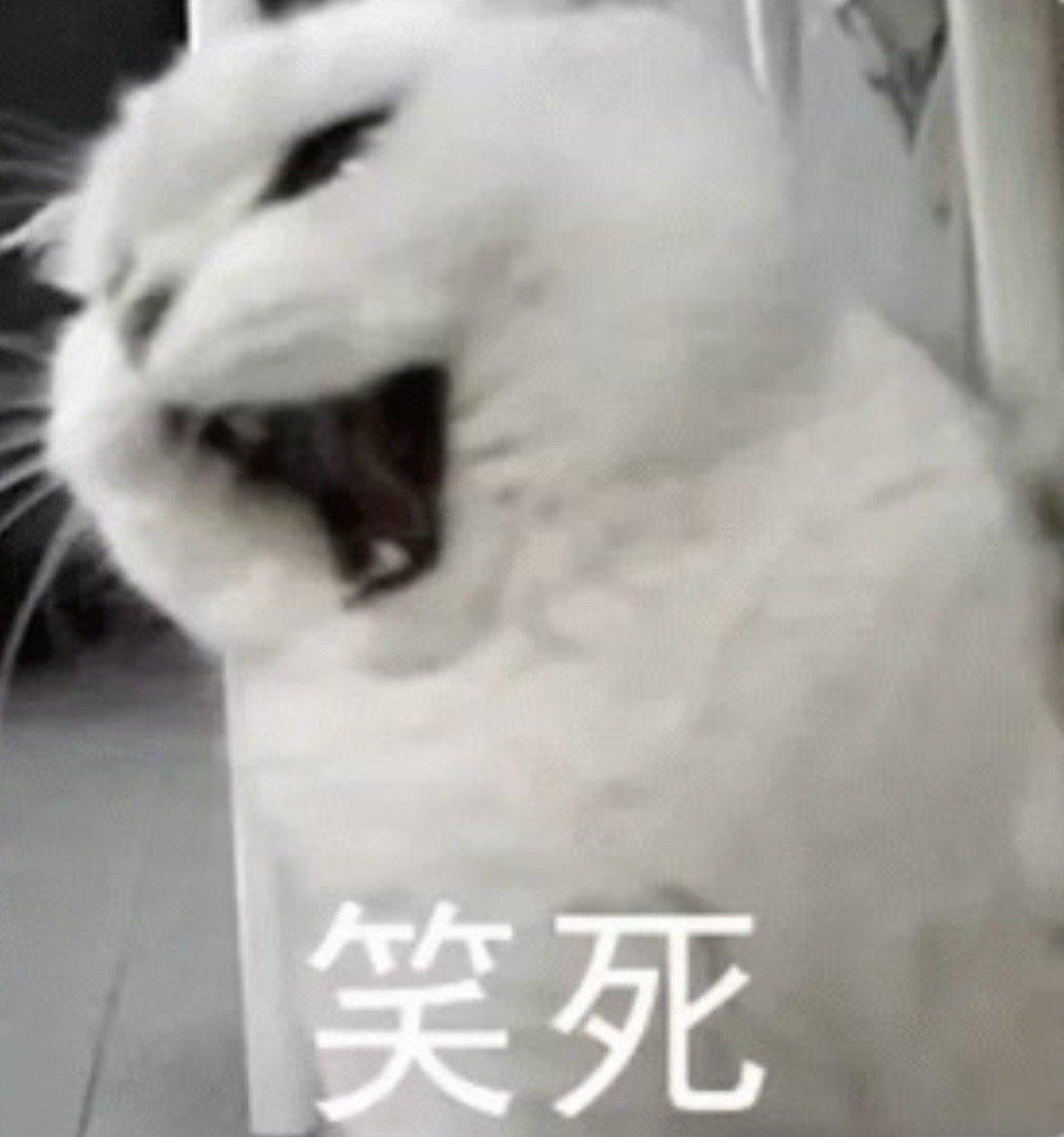 最好看的 最有排面的 咖最大的 最顶级的 毫无争议其他哪个最丑 一超之下的顺序怎