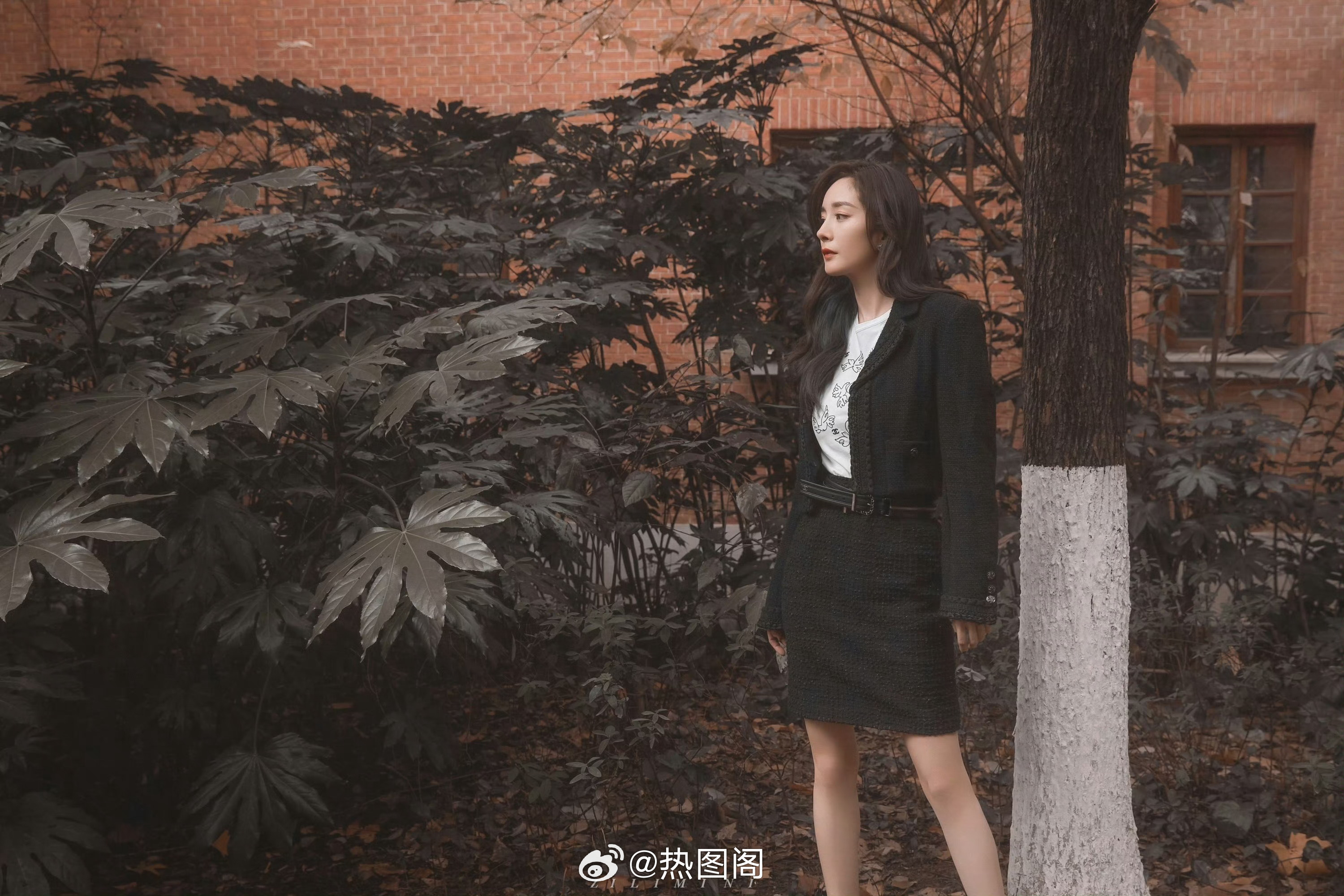 杨幂 💛晨光透过，远方听见。幂幂是副会长🇨🇳 热图阁公众号 