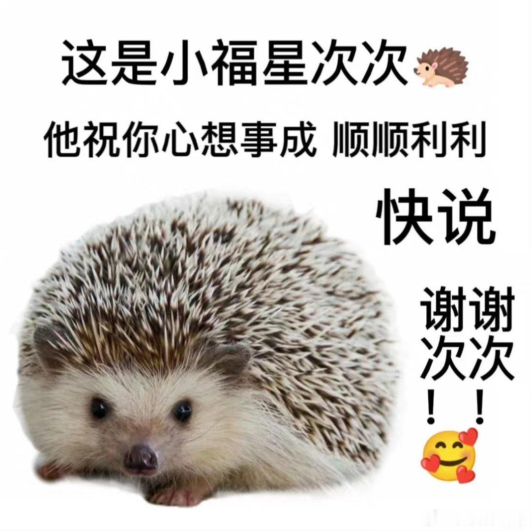 事实证明将有好事发生 