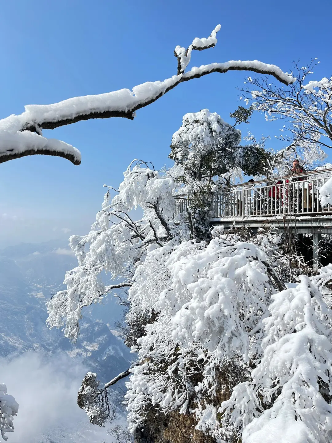 这里不是韩国❗️是昆明❗️云南人有自己的雪乡