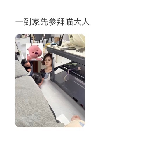 当养宠家里来了客人