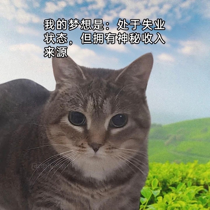 本人终极梦想[祈祷] ​​​