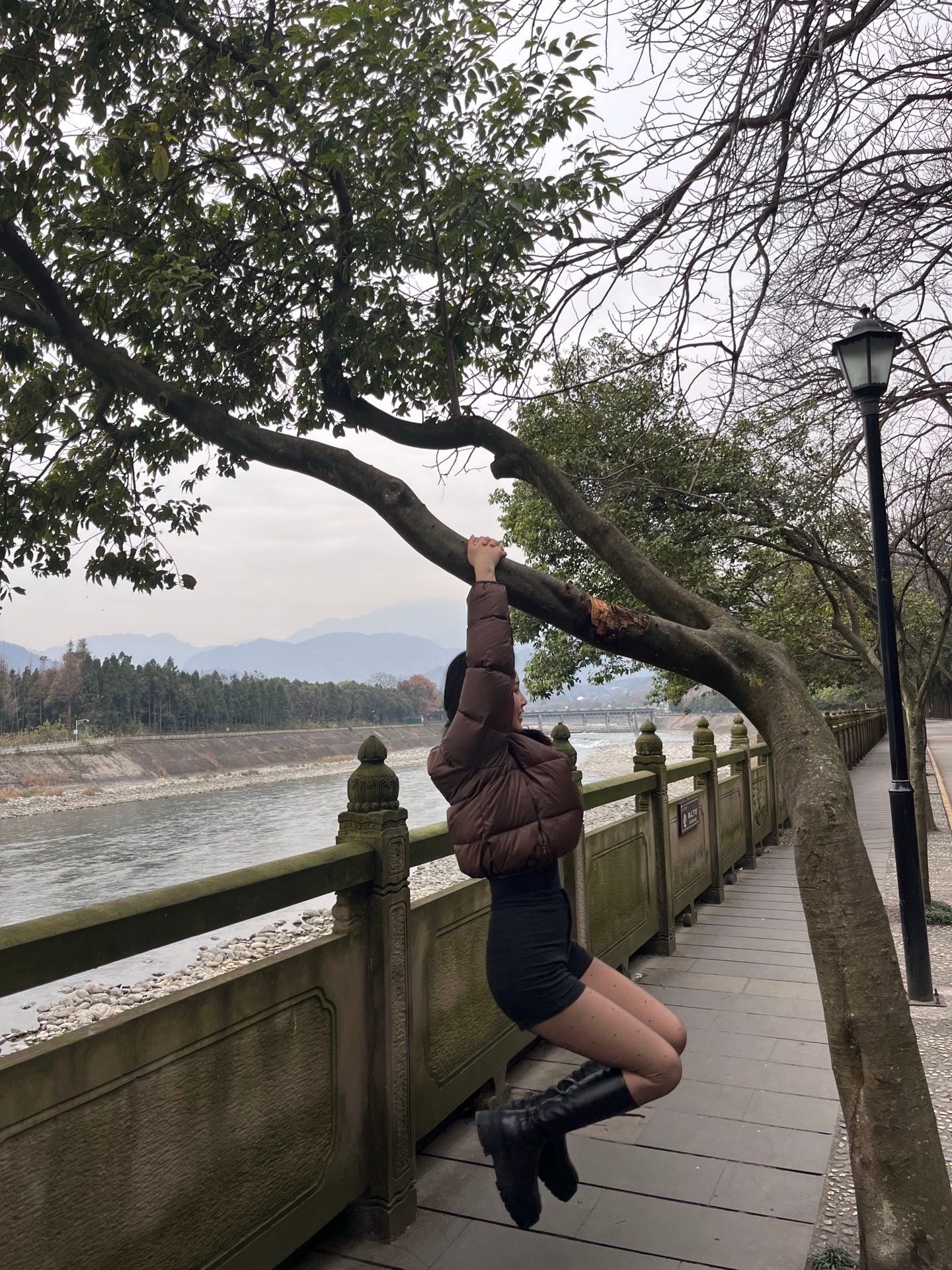 在上班和上进中 选择了上树当吗喽 