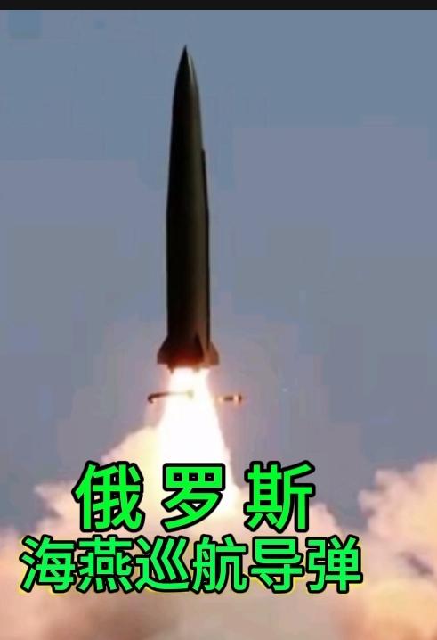 具体核心优势有：无限航程与全球打击：搭载微型核反应堆，理论上航程无限。已完成1.