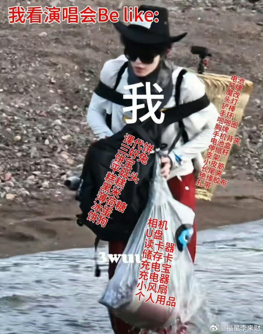 苏新皓演我追星时的样子 苏新皓全身上下都是包苏新皓这张图完美复刻了演唱会前的我本