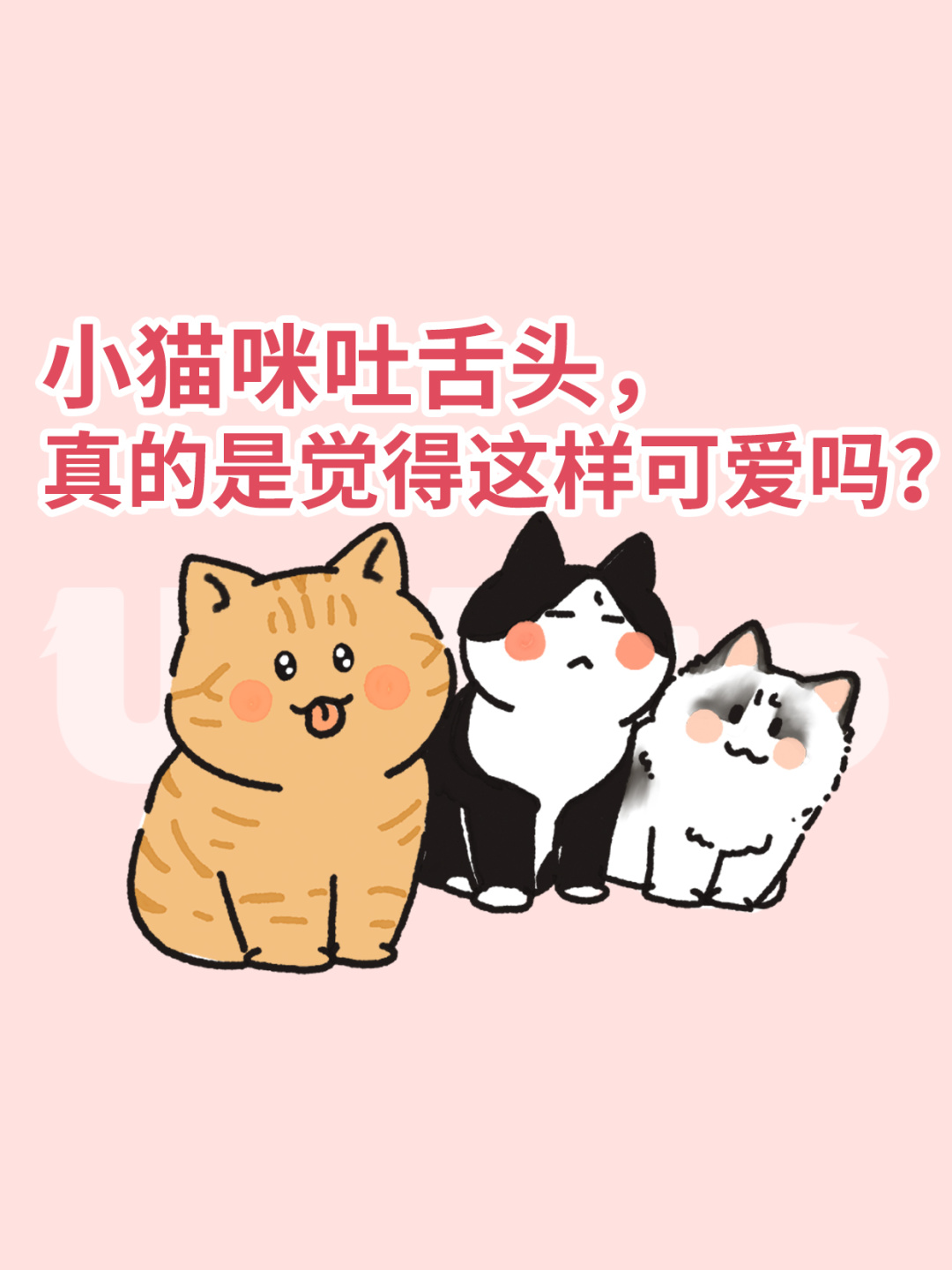 小猫咪吐舌头，真是觉得这样更可爱吗？