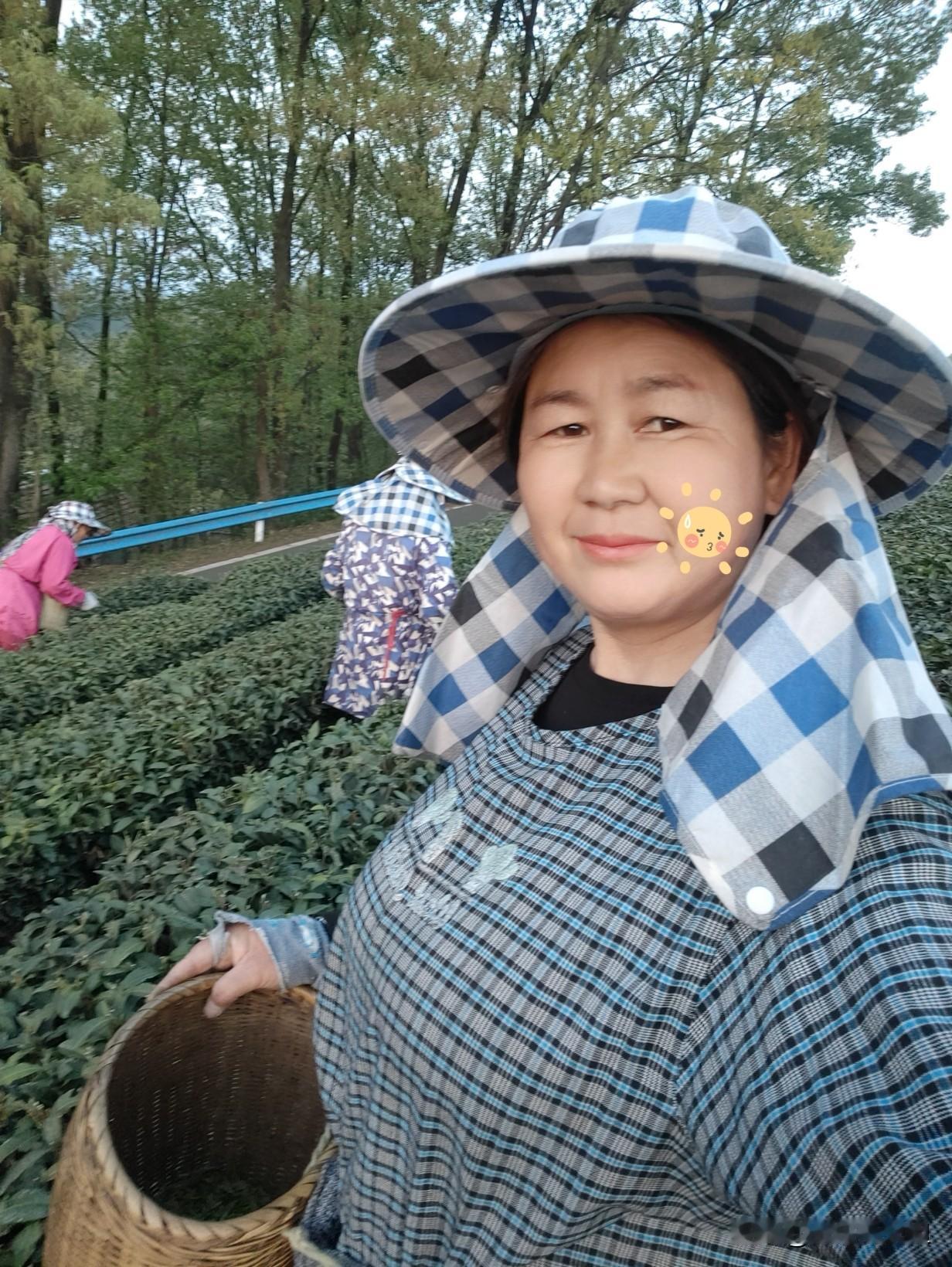 信阳毛尖开釆，采茶叶，旧袜子也派用上场了
天刚蒙蒙亮，老板娘就把饭做好了，一天亮