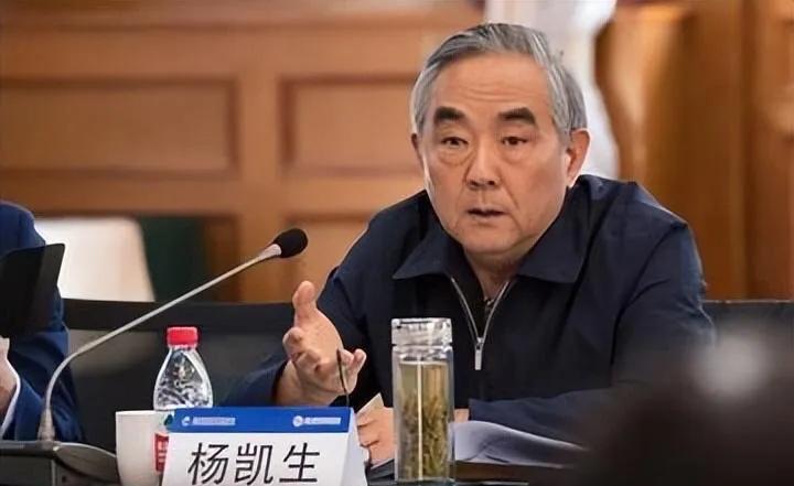 提起杨凯生，人们对他印象最深的不是“原中国工商银行行长”，而是他作为全国政协委员