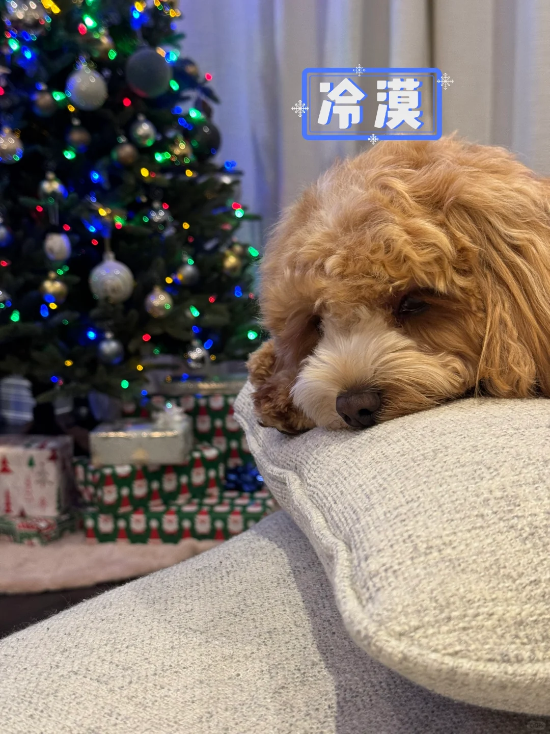 拍照拍抑郁了