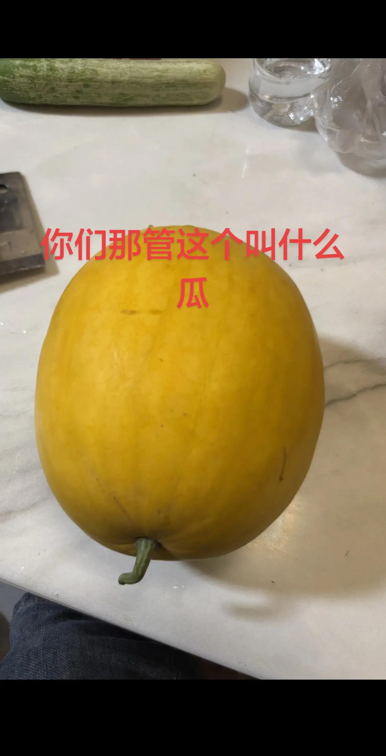 我家种的黄色西瓜，你们那都怎样叫？瓜西瓜西瓜知识