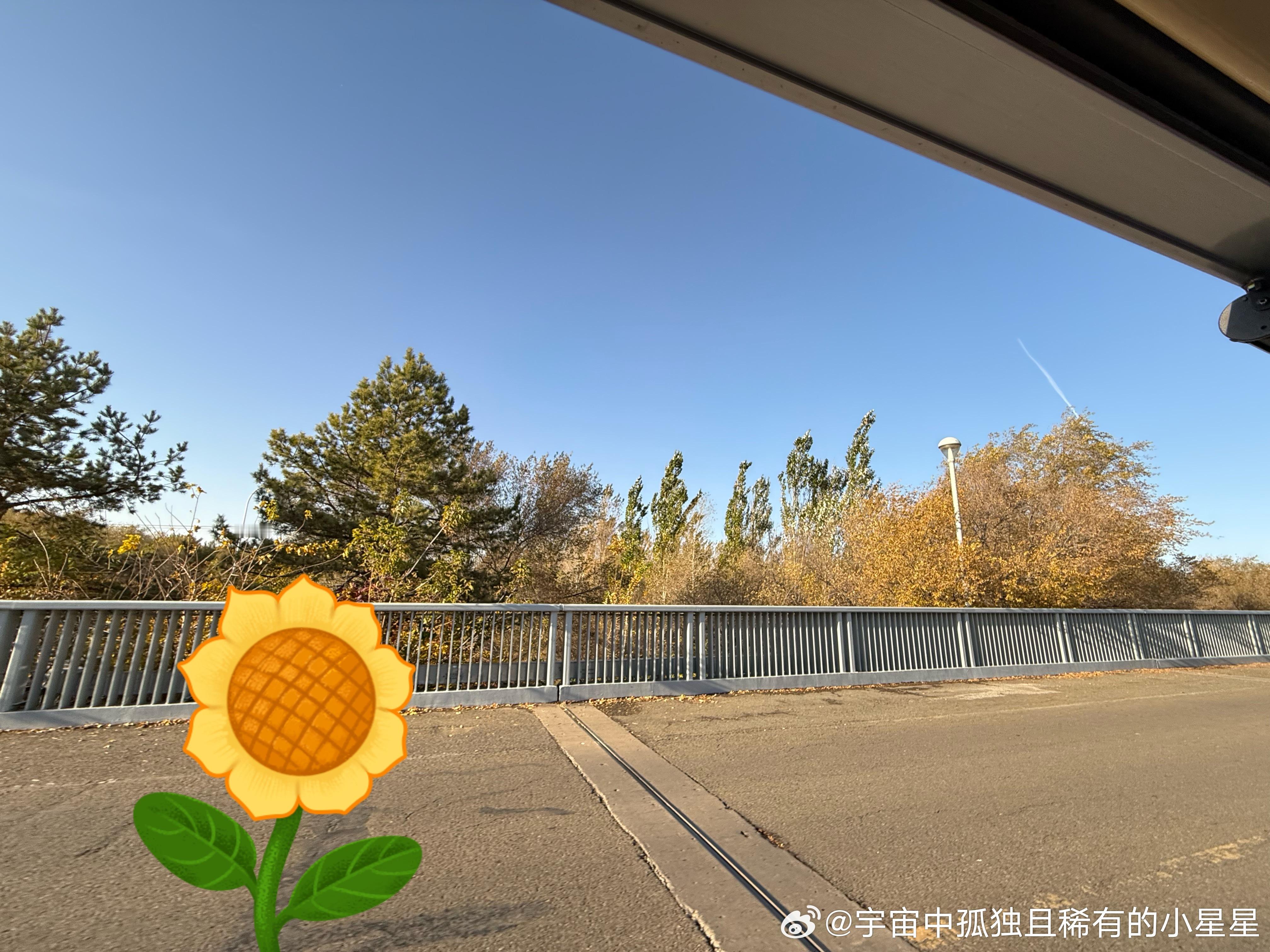 新年心愿上太空 2025 年，我的心愿、祝福与梦想当展望 2025 年，我的心中