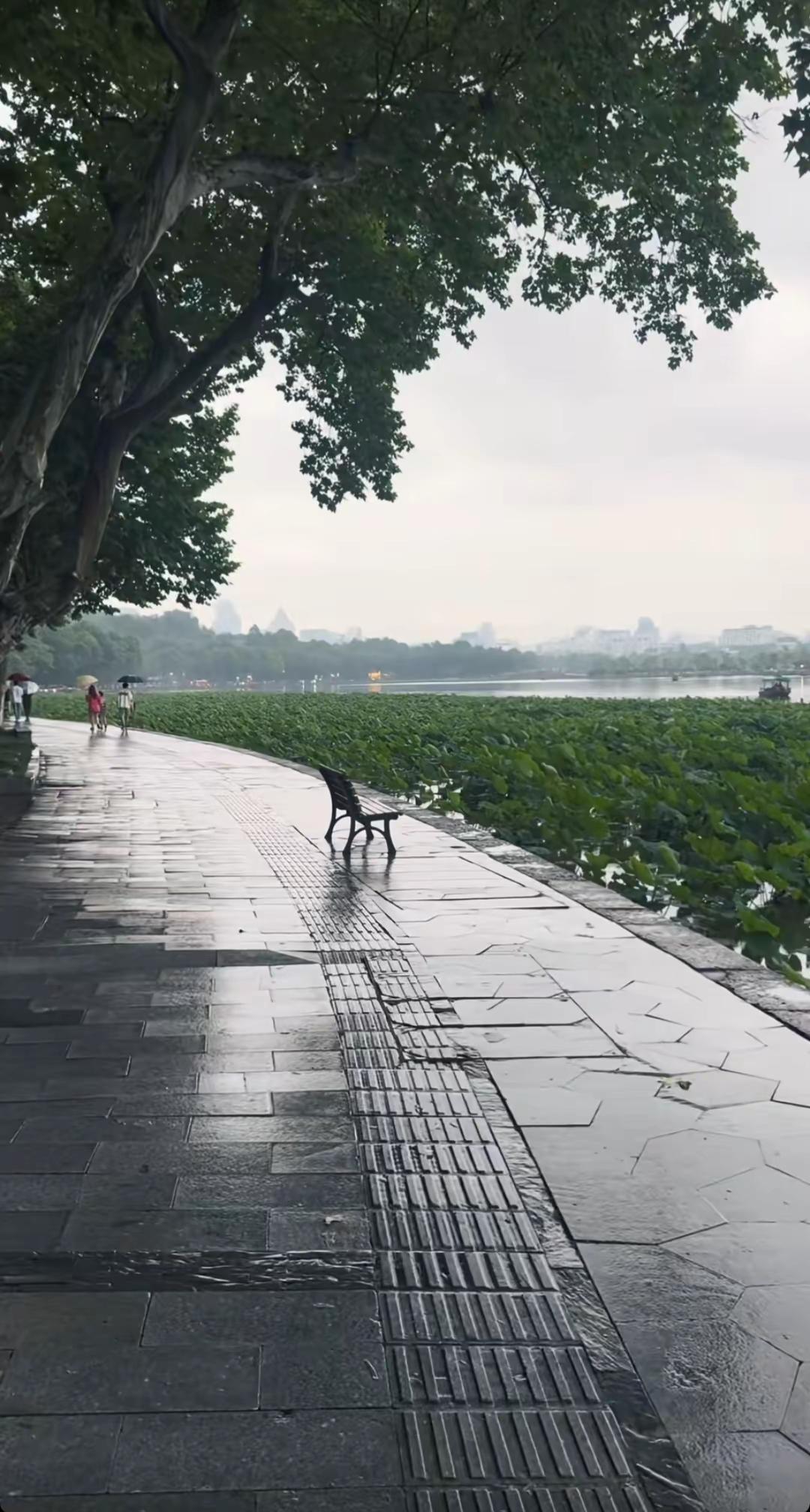 雨天⛱️，青石板泛着微光，长椅空候，湖面浮绿意，风里有未寄出的信。