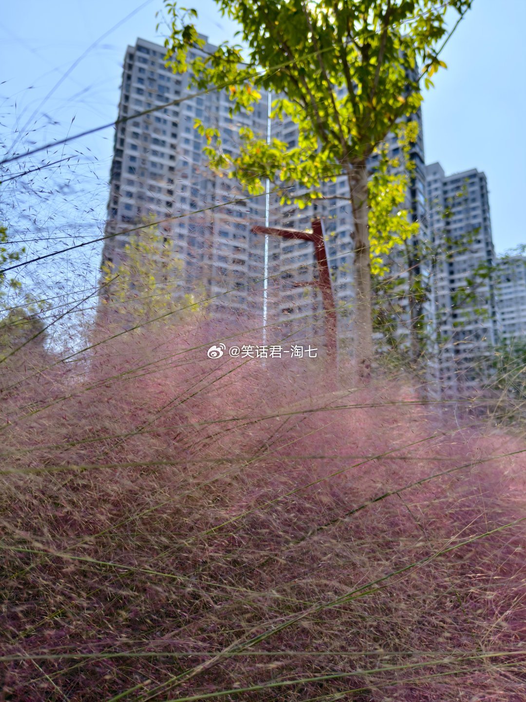 午后的光，斜斜地穿过百叶窗，在桌面上切出明暗相间的条纹。键盘声不知何时停了下来。