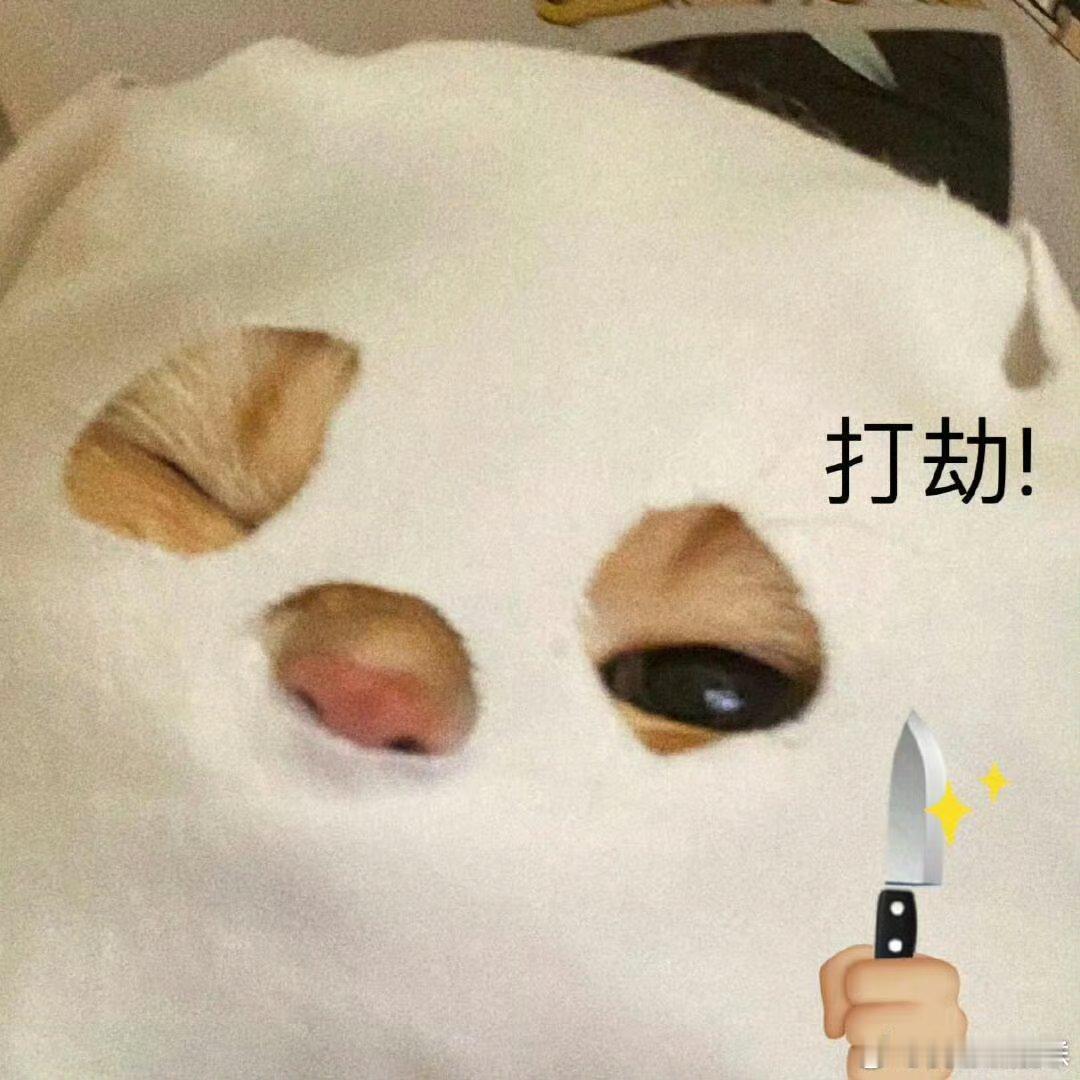 吃商届来了个天才 被这位选手的吃商狠狠拿捏！食材搭配脑洞大开却超和谐，性价比超高