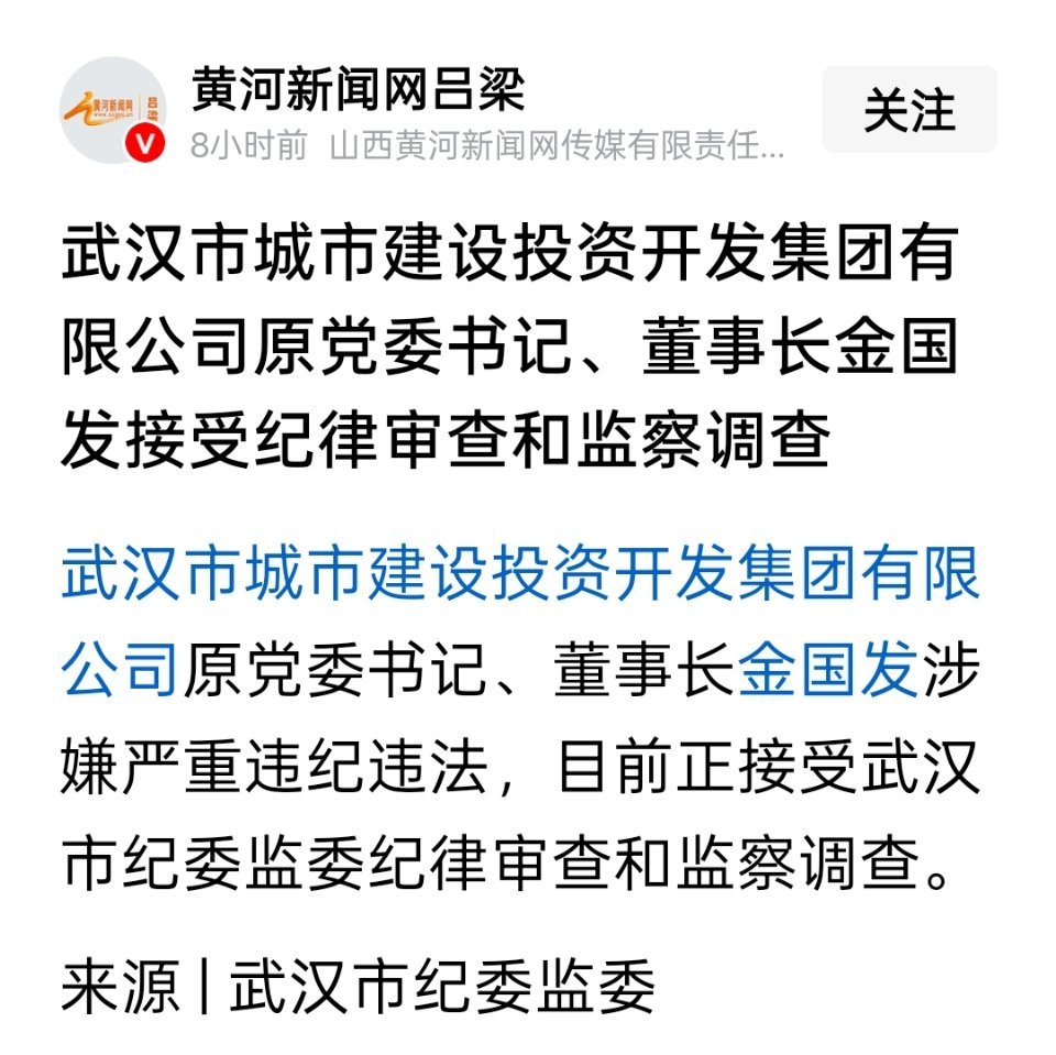 武汉城投公司原董事长金国发被查 