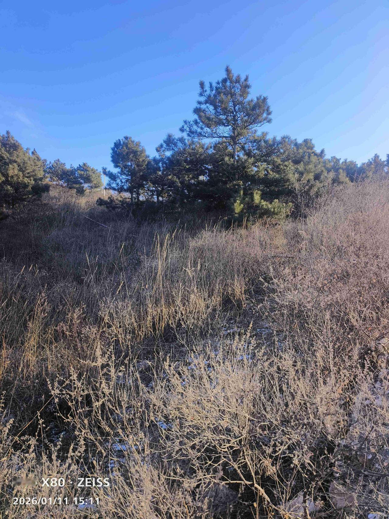 我的今日状态：😁轻松愉快
我这里的天气：🍂微风