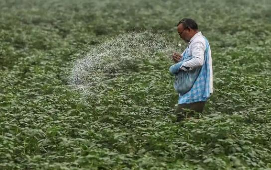 如今的化肥市场里，印度硬生生上演了一出“花钱买憋屈”的名场面，明明是刚需进口大国