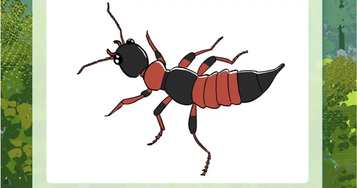 警惕！最近看到这些虫子，千万不能拍