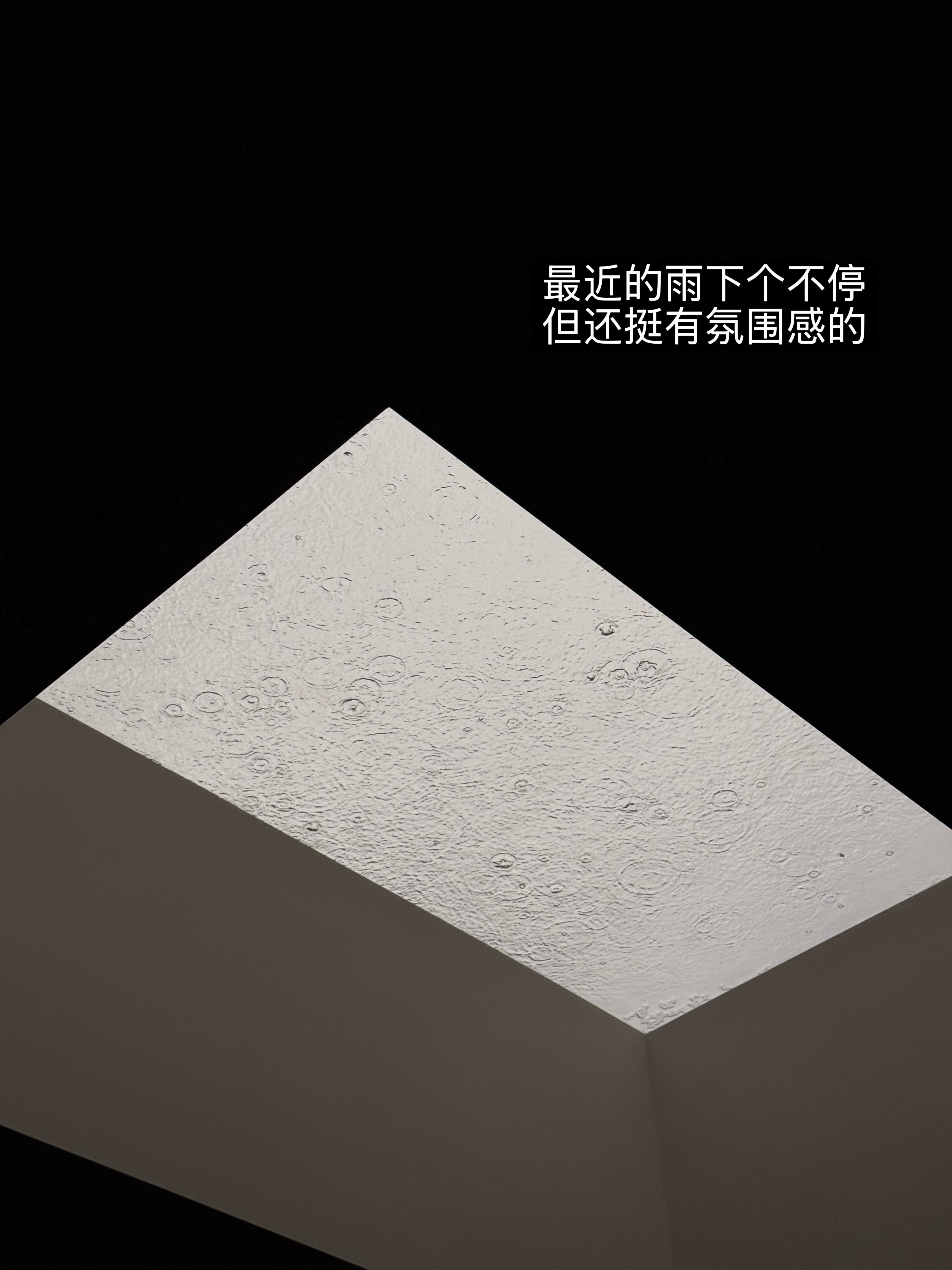 开心果回家以后的日常最近的小确幸们～ 