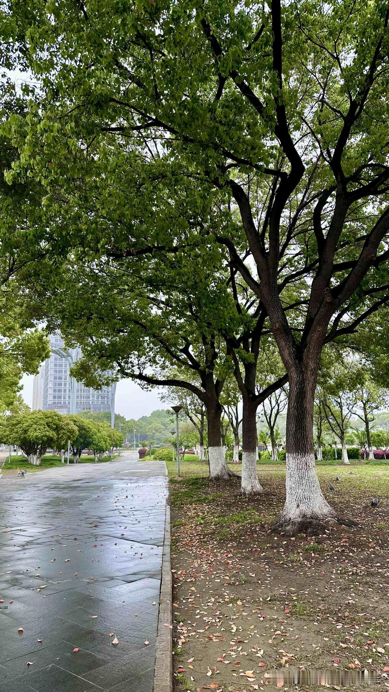 台北人在苏州，今天早上醒来，窗外的光有点刺眼，心里空落落的，情绪，特别低落⋯
