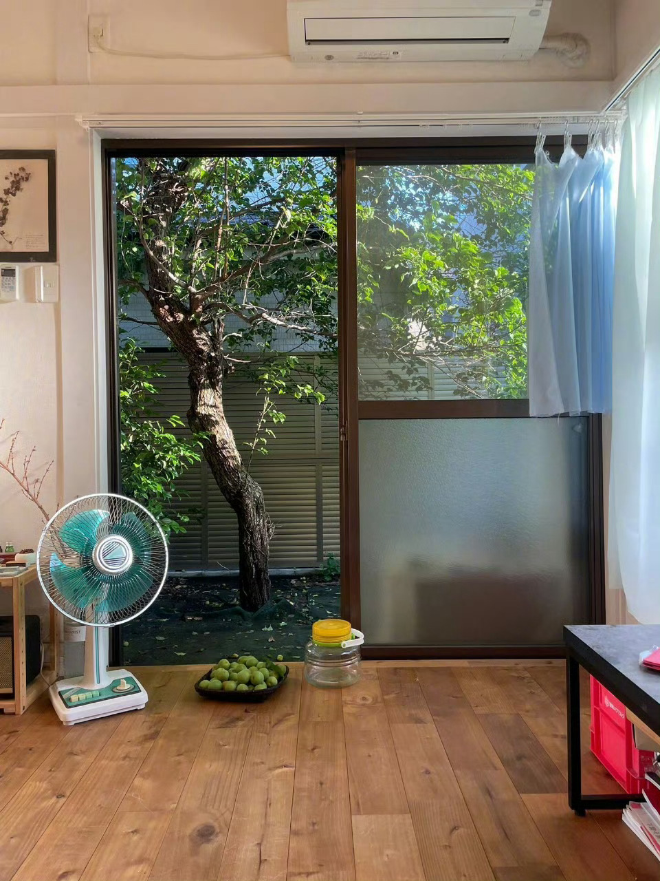 “哦，小夏天呀。” 