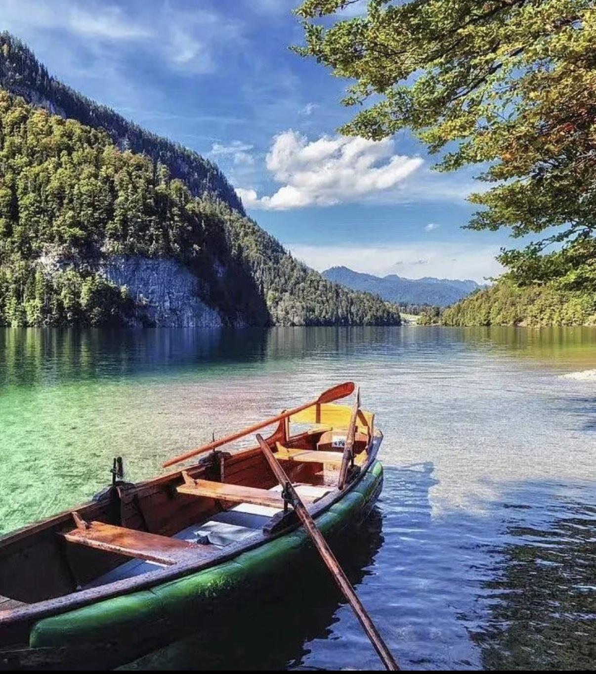 现代医学观点饮酒就伤肝
从医学的角度出发还是不好
从另一个角度看
在世上这么多年