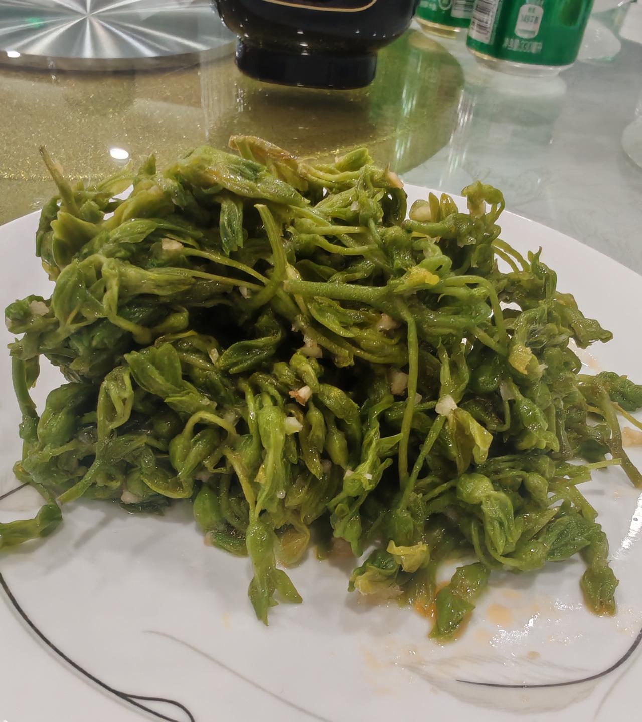 春天的味道，猜猜这是啥？