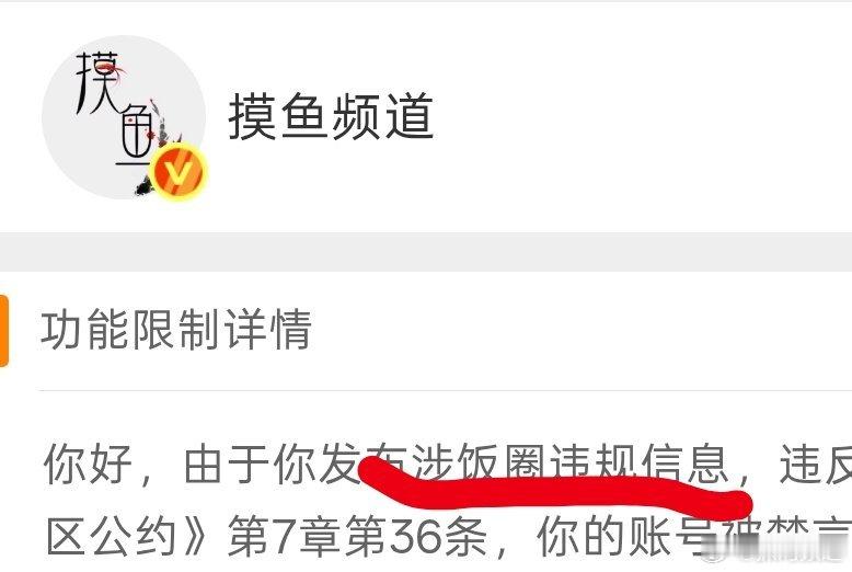 是饭圈违规哈，如果有人想擦边颠倒黑白洗白不允许 