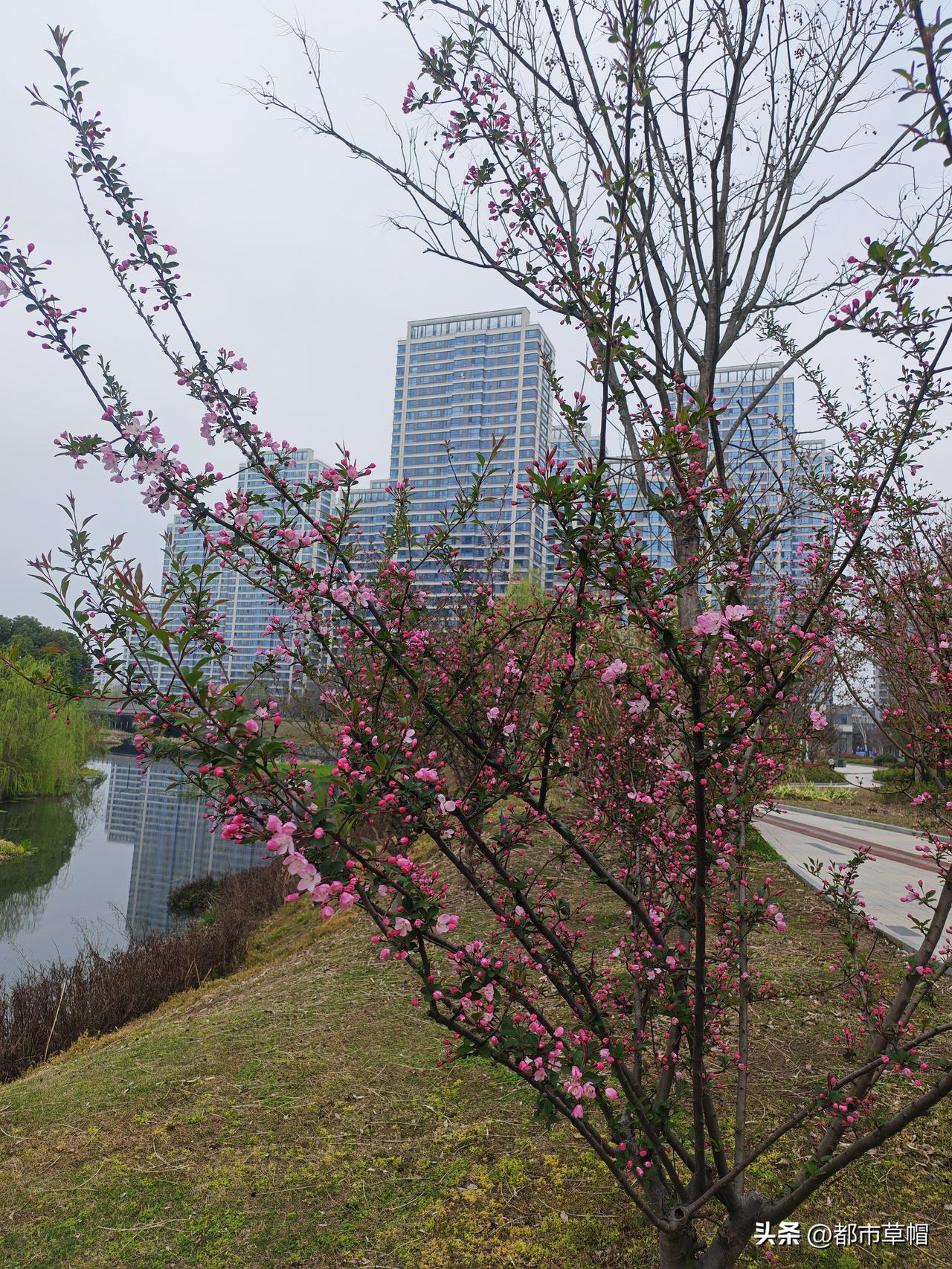 那张苦大仇深的脸原来也会笑啊！

妻子肩周炎去找人看病，我因为感冒没有跟她同去。