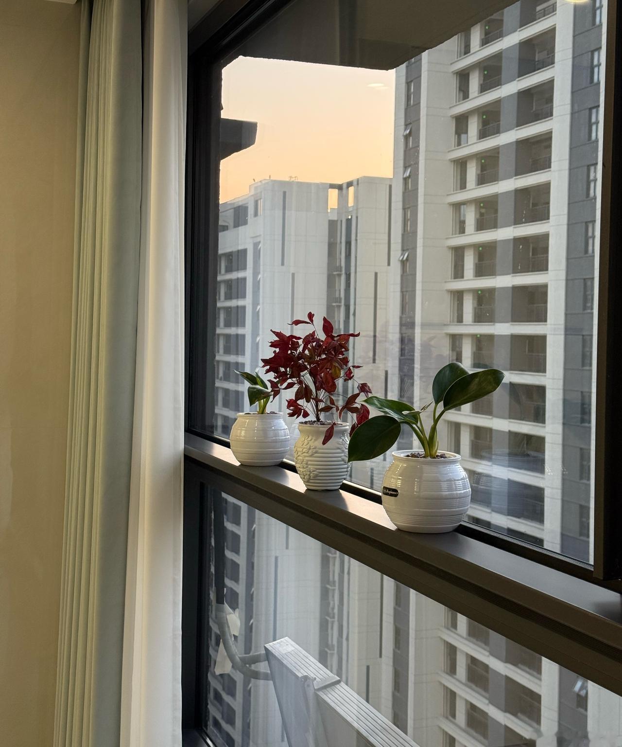 早早早☀️
今天也是早起的一天～

山东一男童夜晚在高速路上独行
这太危险了…又