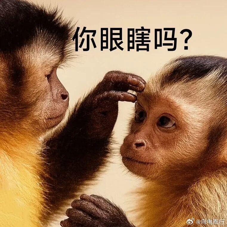 汽车之家 这些人憋了那么多天， 开始全军出击泼脏水了家是1月份冬测嘎的，和车企有