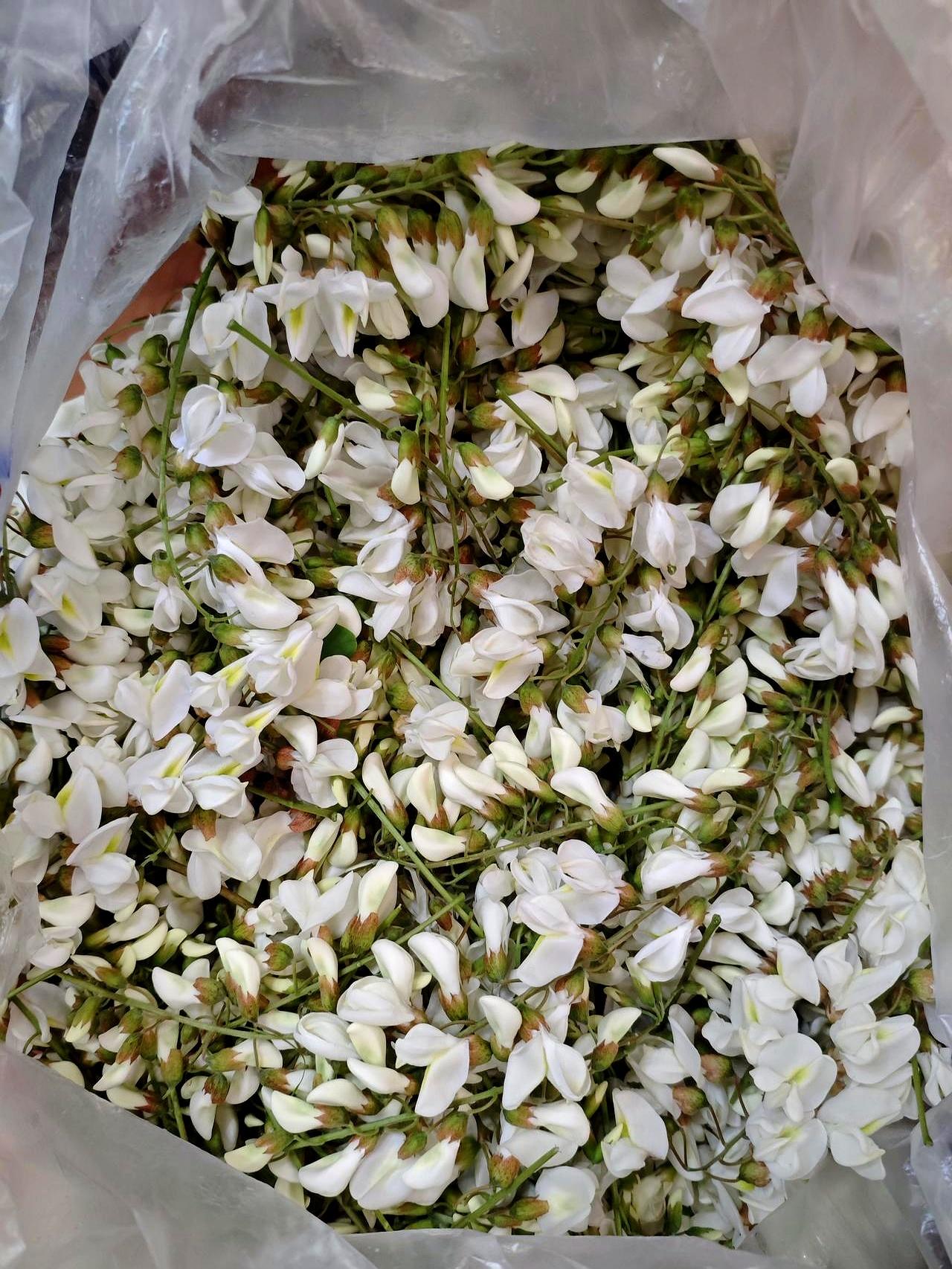 花20多块油费摘回2斤槐花，你说图啥呢？
我老公非要上山摘，说买的没灵魂，结果满
