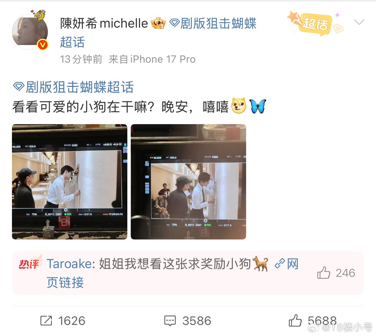 狙击蝴蝶 戒断姐姐，你真的把我养得很好