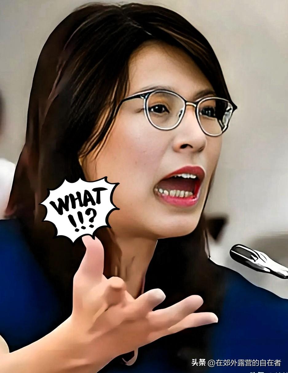 刷屏热议！“一国两区”对决“一国两制” 台湾民众要的从不是分裂！

近期台海政坛