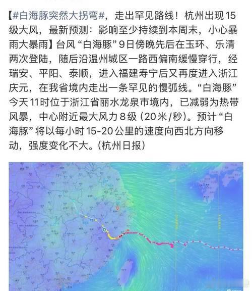 白海豚突然大拐弯台风“白海豚”9日傍晚登陆浙江后没按套路西北走，先在温州、瑞安、