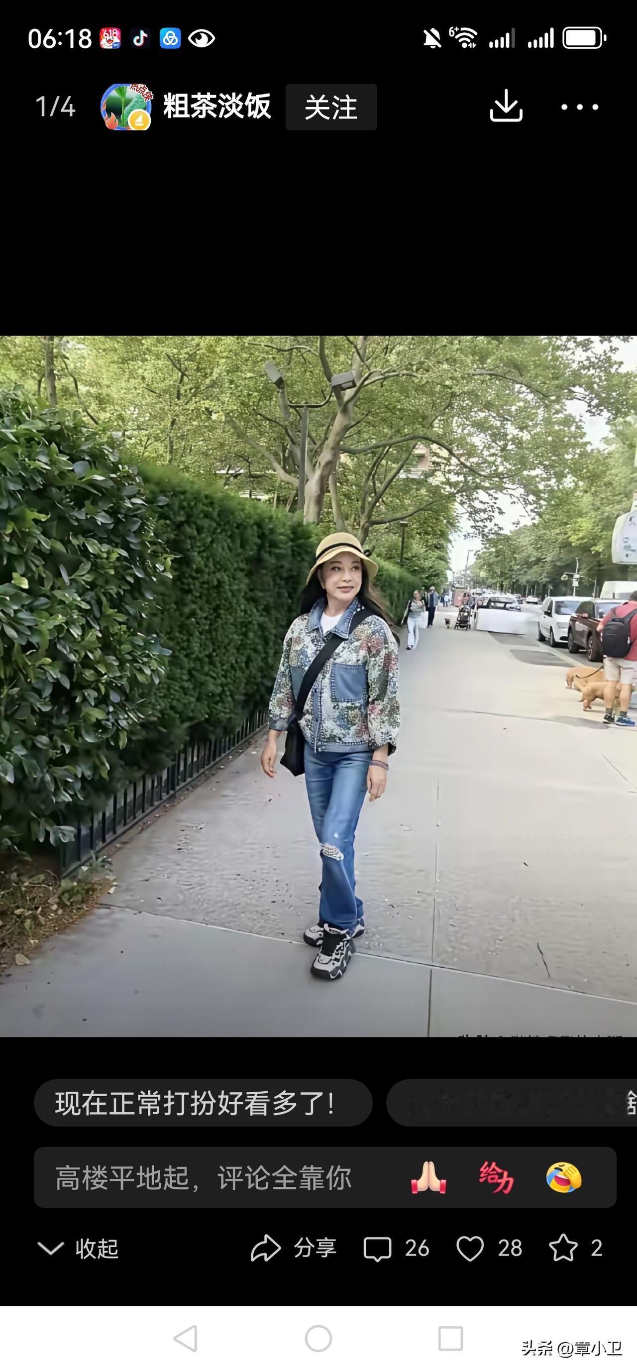 网友说：终于正常了你对刘晓庆的评价如何