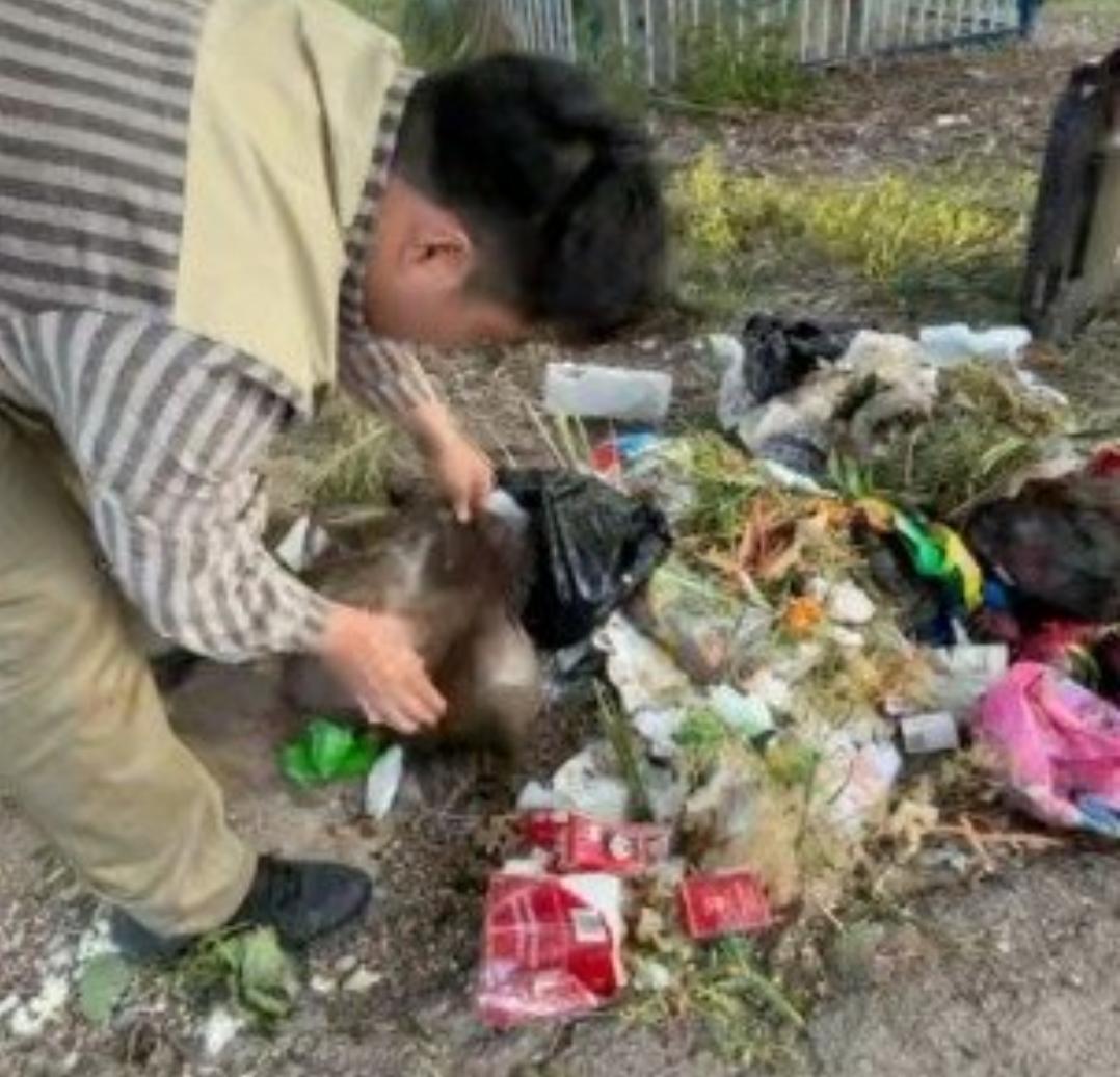 190元榴莲仅退款，商家驱车1600公里找上门，这事太解气！
 
真的被这事儿惊