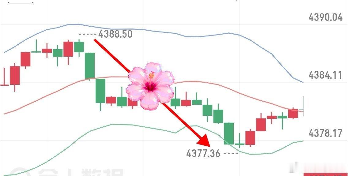 黄金4387箜，提示4377出，10典洛带。不怕少，就怕套，洛带为安择机再来。现