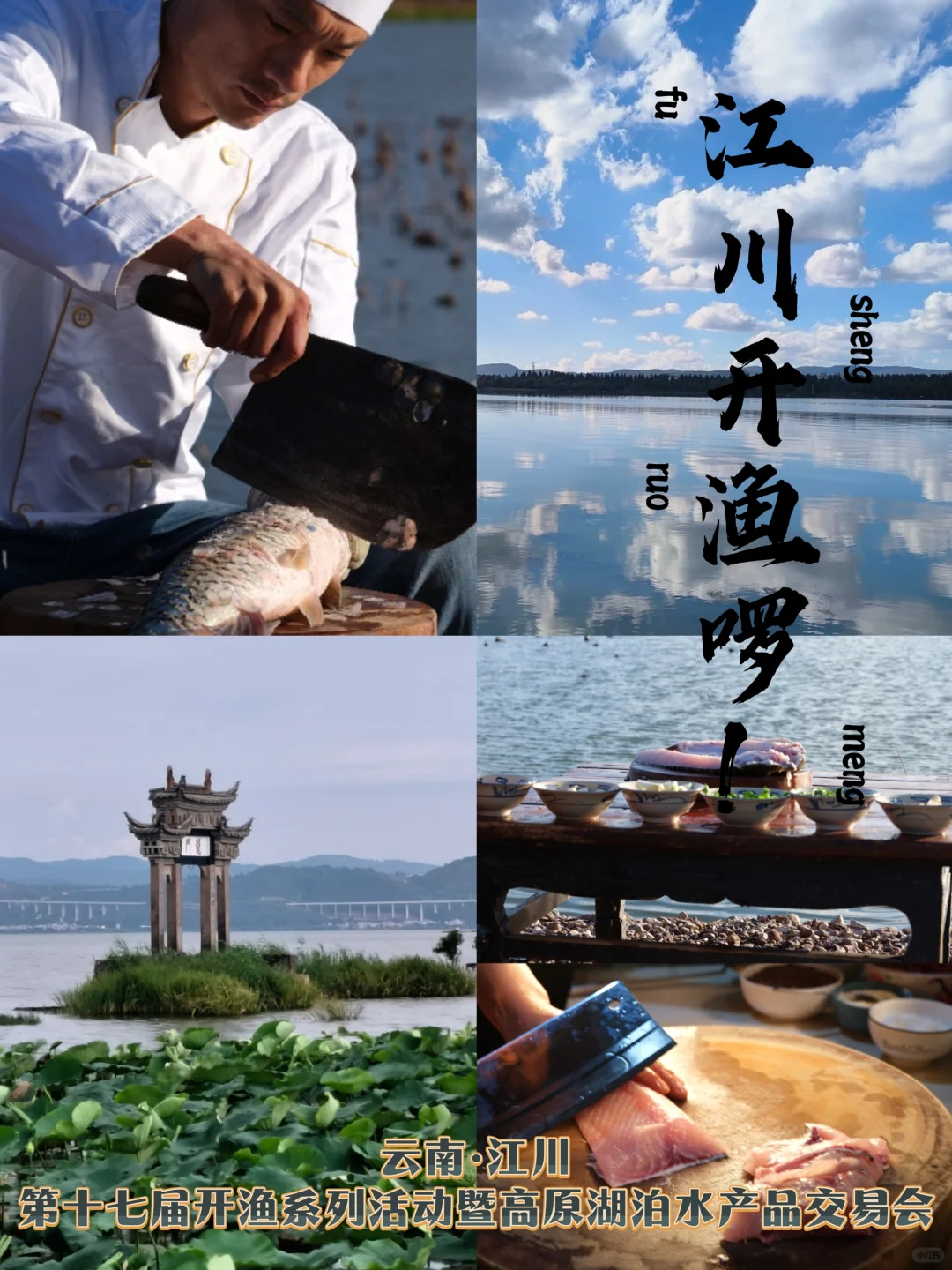 云南游 || 江川好山好水好鱼等你来！